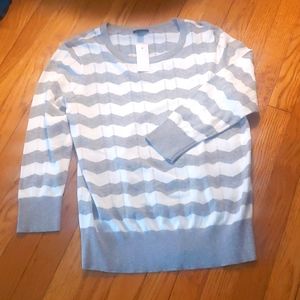 Ann Taylor Fall Sweater Lightweight